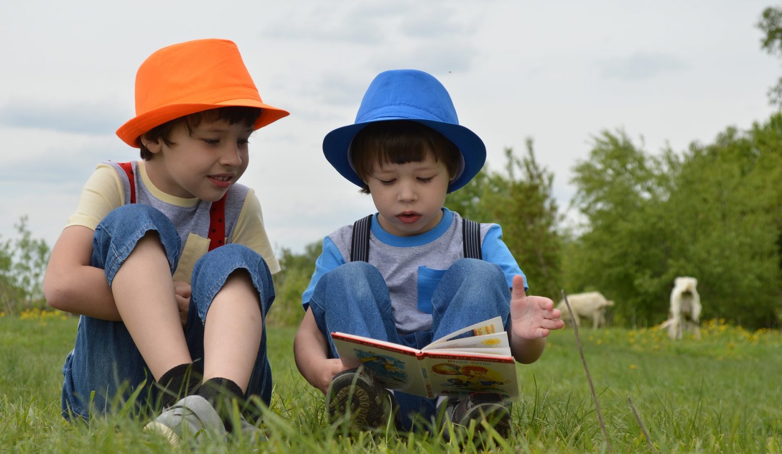 Kids Learn To Read